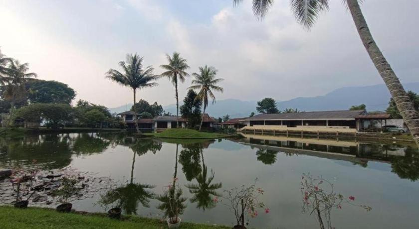 Capital O 94094 New Lembah Nyiur Puncak